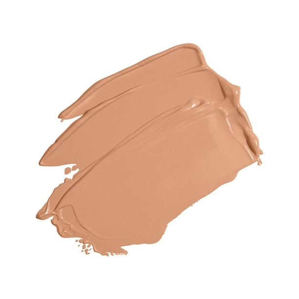 Skin Perfector Tinted Moisturizer 3